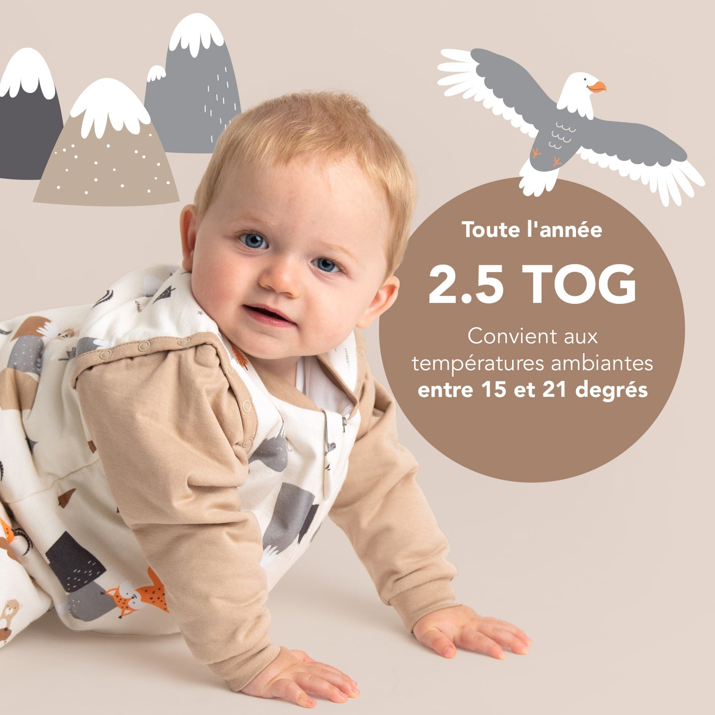 Gigoteuse bébé toutes saisons - 2.5 TOG