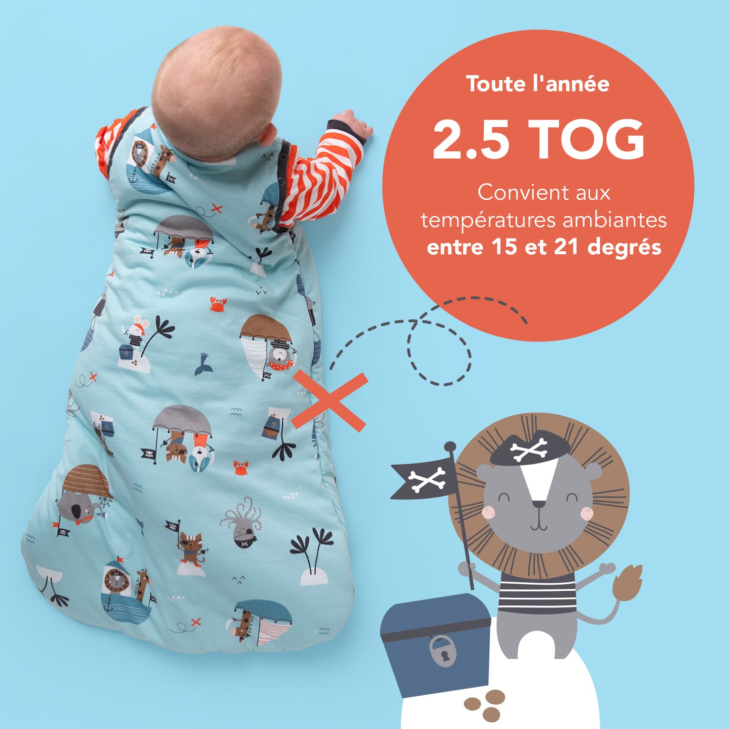 Gigoteuse bébé toutes saisons - 2.5 TOG