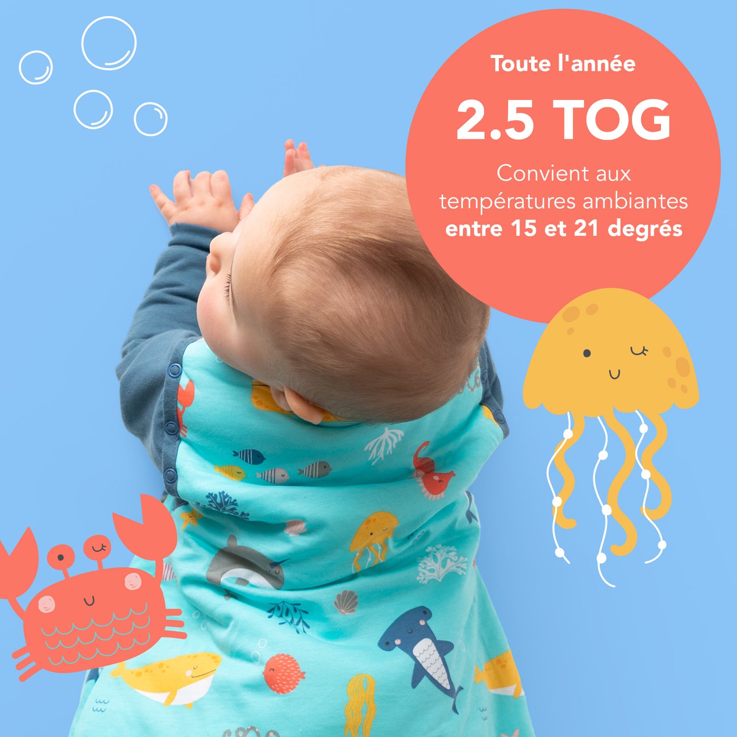 Gigoteuse bébé toutes saisons - 2.5 TOG